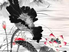 星盤怎么看相位佳不佳 星盤怎么看相位好壞