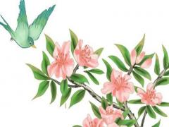 八字喜火養什么植物最好 八字喜火適合做什么生意