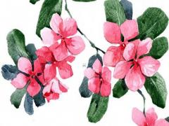 八字中間加一橫念什么 八字中間一橫標志是什么車