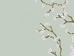 屬鼠男跟屬牛女姻緣 屬鼠男與屬牛女婚姻狀況