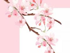 2007年4月17日八字算命 2007年4月17日是什么星座