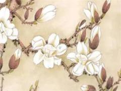 56年屬猴男能活幾歲,屬猴56年出生男運(yùn)程