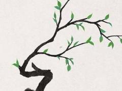 張鶴艦四柱八字理論基礎(chǔ) 張鶴艦五行