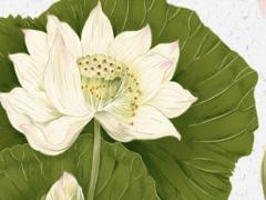 什么八字的人適合在大學上班 什么樣八字的人適合學易學