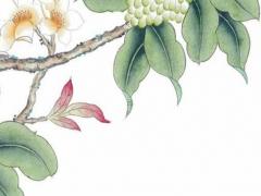 1987年屬兔的人未來十年,1987年屬兔人未來十年2023運勢