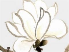 懷疑朋友吸走了自己的運(yùn)氣 自帶霉運(yùn)的女人特征