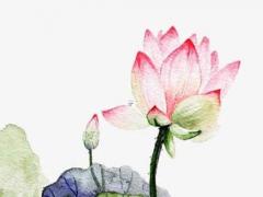 算命的妨媒人什么意思 妨媒是什么意思