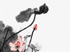 生肖屬鼠與屬馬婚姻,屬鼠和屬馬的婚姻會長久嗎