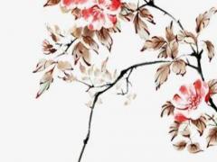 上海市的王子公主奇遇記量販 王子與公主奇遇記虹口店