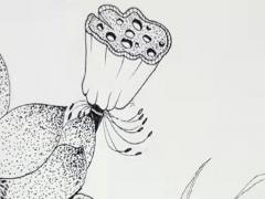 72年屬鼠和屬兔的婚配,1972年屬鼠和屬兔婚姻合不合