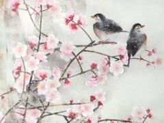 一般家里養幾只龜最好花斑龜 一般家里養幾只龜吉利