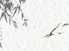 壬寅年正緣出現的八字 壬寅年正緣出現的日柱