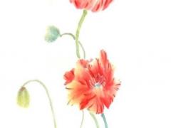 99年屬兔24歲能結婚么,1999年屬兔可以結婚嗎