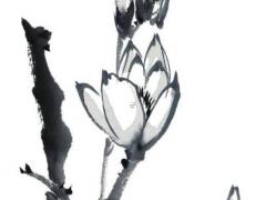 喜用神最正確的算法八字強(qiáng) 八字命理喜用神