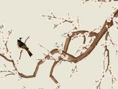 屬蛇跟屬兔的相配嗎 屬蛇的和兔相配嗎