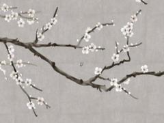 王字下面有個八字念什么字怎么讀 王字下面一個八字念什么