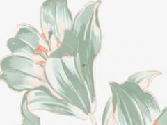 晨子字五行屬什么 晨字五行屬什么和意義