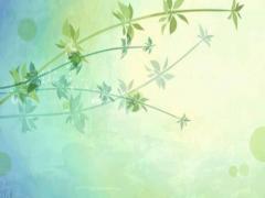 打動人心的網名：東方不敗的愛情喂了狗