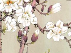 1968屬猴今年多大,1968年屬猴人今年多大