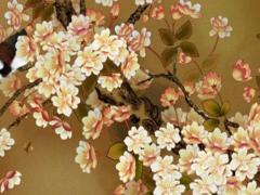 屬虎的人今年虛歲是多少歲 屬虎的人今年虛歲多大