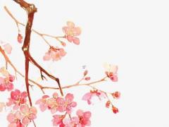 名字免費(fèi)測試姻緣 輸入姓名查一生婚姻
