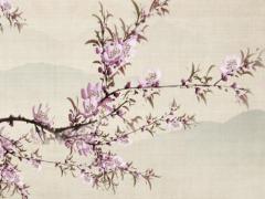 惠英紅八字分析 惠英紅的婚姻