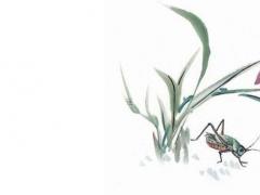 男1988年屬龍和屬蛇女相配嗎,1988年男龍和1988年女龍相配嗎