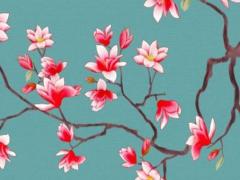 72年屬鼠和馬好嗎 72年的鼠和66年的馬相克嗎