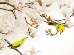 生辰八字按頭出來還是身子出來 生辰八字以什么為準