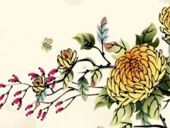 楊洋八字金塵命理 楊洋八字命理老婆