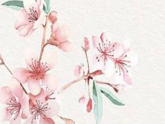 1971年屬豬女49歲運氣 71年屬豬女的運氣