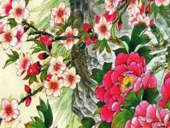 屬虎女人六月出生好嗎 屬虎女人六月生好不好