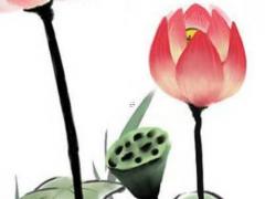 八字丁火遇到亥水會(huì)怎么樣 丁火亥水相生