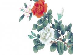 八字喜木姓李的男孩名字 李姓木屬性名字