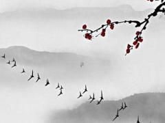 小學生無聊的時候干點啥好呢 小學生無聊的時候該怎么辦