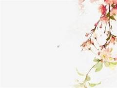 屬兔女跟屬虎男婚配好嗎,屬兔女跟屬虎男合嗎