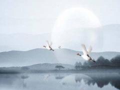 周姓男寶寶起名大全2022年 虎年最佳姓氏取名