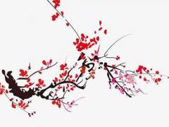 算命的真的可以算出財運嗎 算命真的能算出來嗎