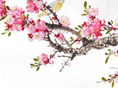 屬馬的人后半生的運(yùn)勢(shì)怎么樣 屬馬后半年事業(yè)怎樣