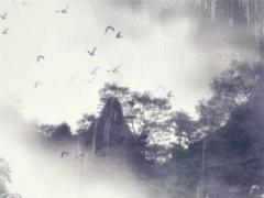 古代男子15可以婚配嗎 古代15歲男子娶妻嗎