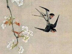 星座講解性格 星座解析性格特點(diǎn)總結(jié)