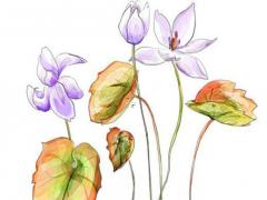 算命先生事業(yè)很準(zhǔn) 算命先生事業(yè)的說辭