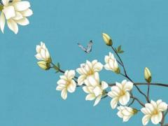事業(yè)運(yùn)和財(cái)運(yùn)哪個(gè)重要 財(cái)運(yùn)和事業(yè)運(yùn)一回事么