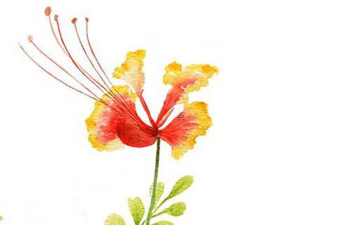 有哪些屬虎起名常用字 有哪些屬虎起名常用字好聽