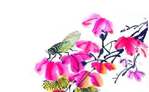 狼青好聽的名字 狼青好聽的名字