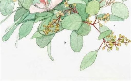 二婚女友不愛我的表現(xiàn) 二婚女朋友不主動聯(lián)系你 二婚女友不愛我的表現(xiàn) 二婚女朋友不主動聯(lián)系你