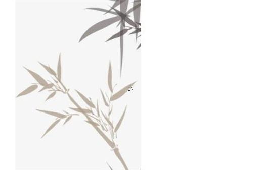 屬蛇帶什么玉石好,屬蛇帶什么玉招財(cái)轉(zhuǎn)運(yùn)