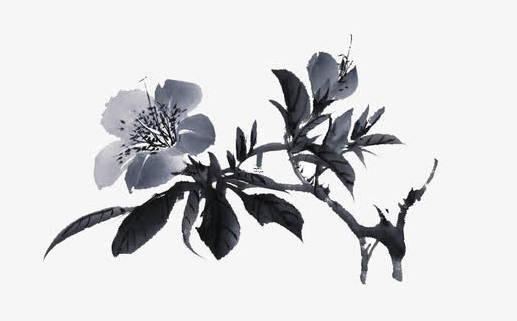 91女羊最佳婚配屬相 91的女羊和什么屬相配 91女羊最佳婚配屬相 91的女羊和什么屬相配