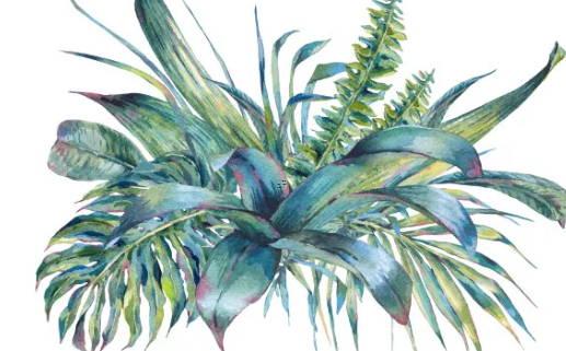 屬鼠八月份運勢如何 屬鼠的8月份運勢如何 屬鼠八月份運勢如何 屬鼠的8月份運勢如何