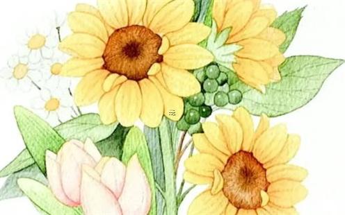 八字正財(cái)桃花什么意思 八字正桃花是什么意思